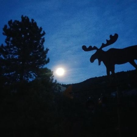 Alpine Moose Lodge Lake City 외부 사진